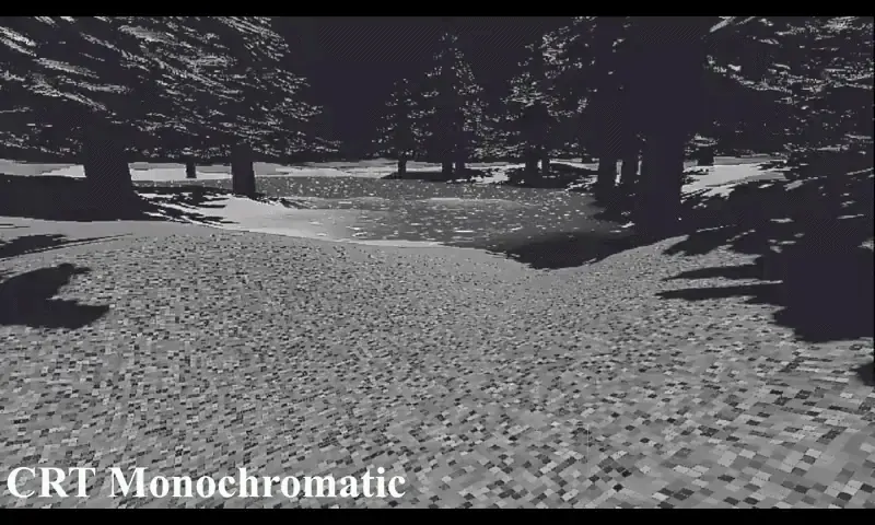 The forest scene rendered in monochrome through the CRT effect.